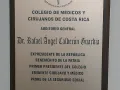 calderon209