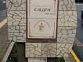 calufa29