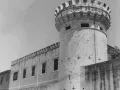 cardonazo26