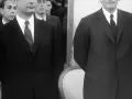 donpepe46