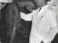 pepe57