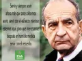 frases21