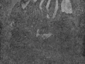 dengo12