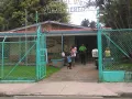 dengo24
