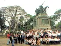 gc233 gc233