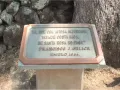 gc344