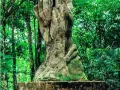 mario_quiros02