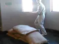 work35 work35