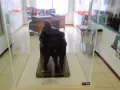 sala11