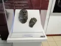 sala12