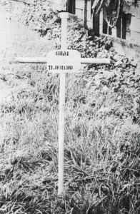 Tijerino